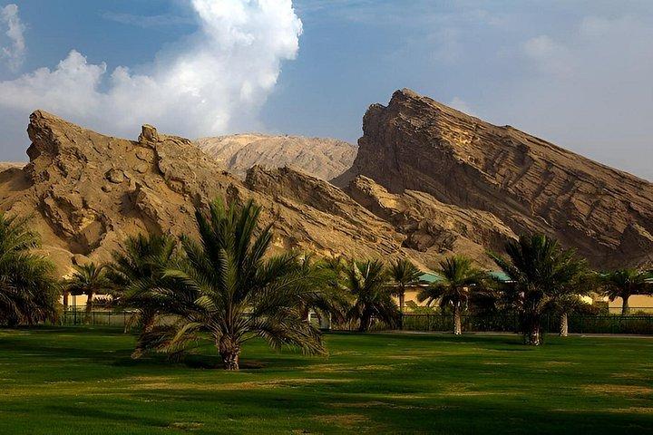 Full Day Al Ain City Tour with Lunch