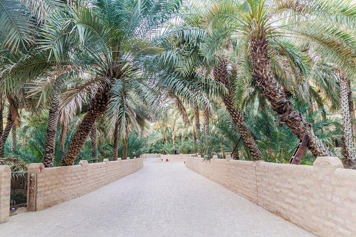 Full Day Al Ain City Tour with Lunch