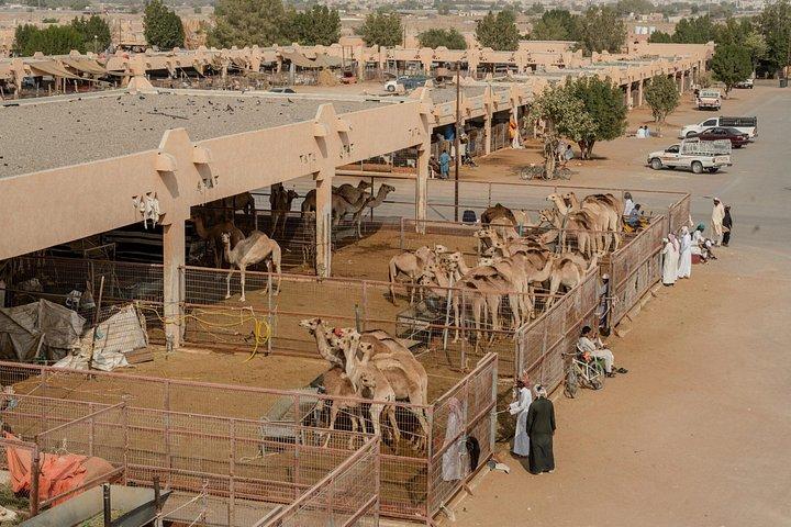 Full Day Al Ain City Tour with Lunch
