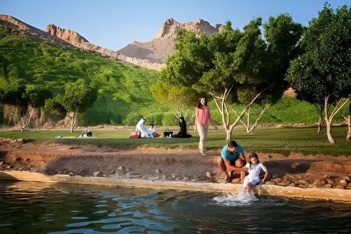 Tour de día completo por la ciudad de Al Ain con almuerzo