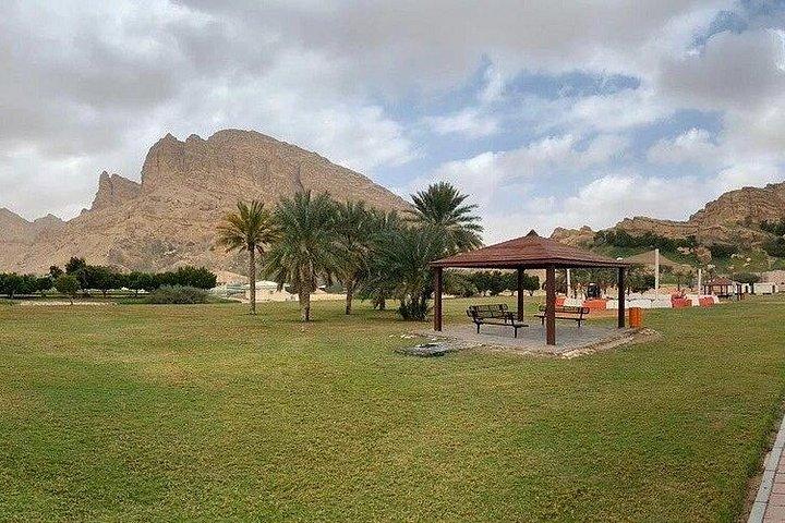 Full Day Al Ain City Tour with Lunch