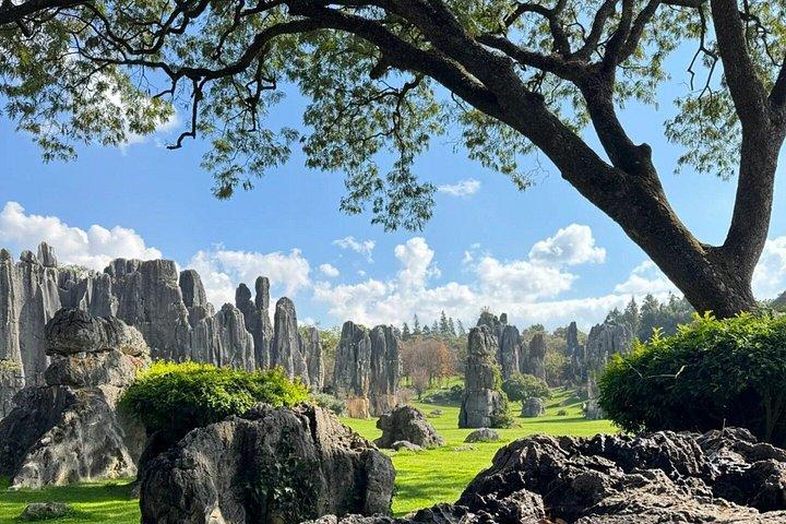 Private Stone Forest Day Trip from Kunming with Hotel Pickup