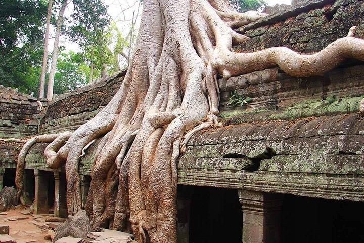 Angkor Wat Highlights Full-Day Tour
