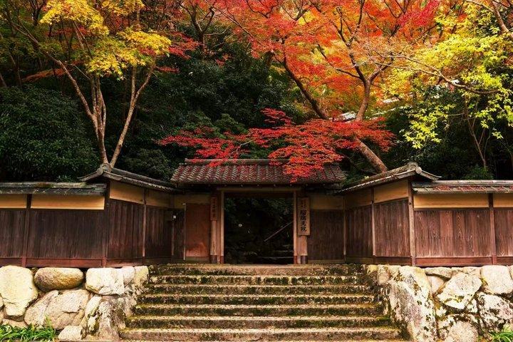 京都三千院と貴船神社、瑠璃光をプライベートで巡るツアー