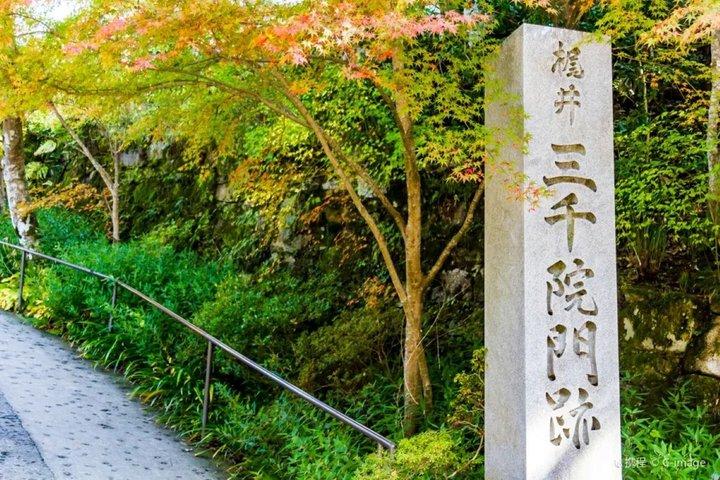 京都三千院と貴船神社、瑠璃光をプライベートで巡るツアー