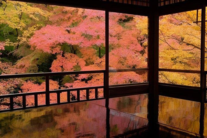 京都三千院と貴船神社、瑠璃光をプライベートで巡るツアー