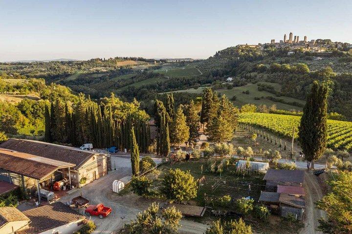 Vernaccia di San Gimignano-ervaring