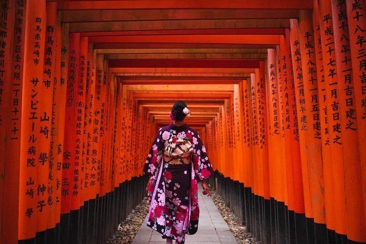 大阪クルーズ港からの一日プライベート京都岸辺観光