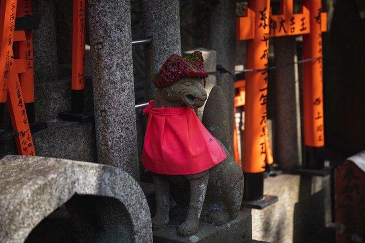 大阪クルーズ港からの一日プライベート京都岸辺観光