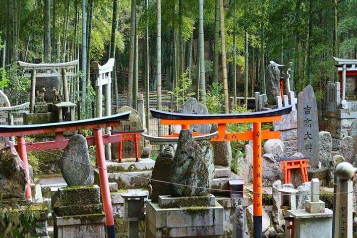大阪クルーズ港からの一日プライベート京都岸辺観光