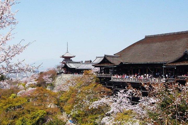 大阪クルーズ港からの一日プライベート京都岸辺観光