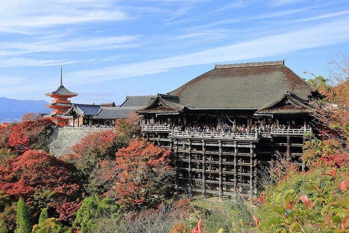 大阪クルーズ港からの一日プライベート京都岸辺観光