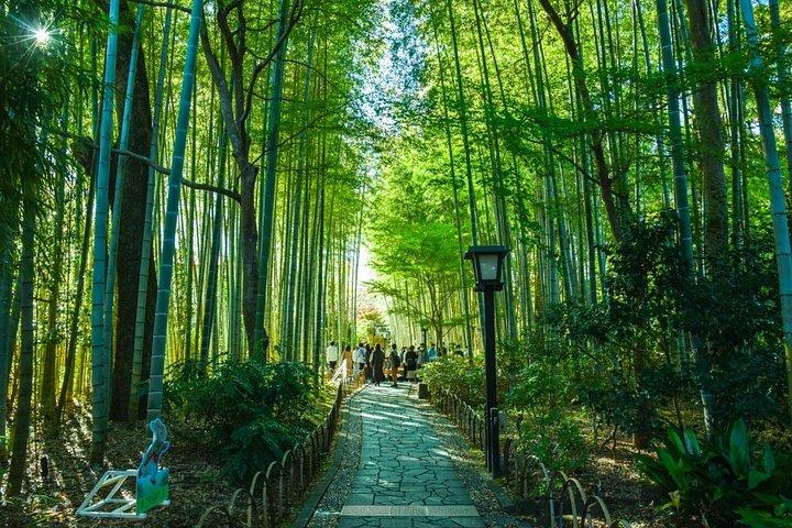 大阪クルーズ港からの一日プライベート京都岸辺観光