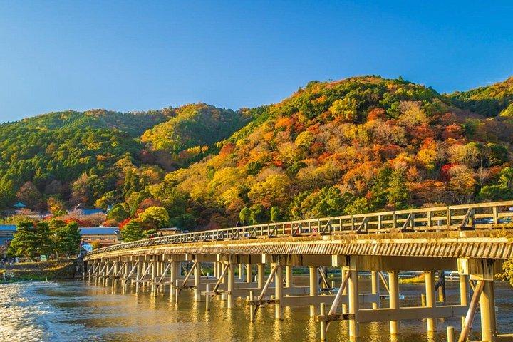 大阪クルーズ港からの一日プライベート京都岸辺観光