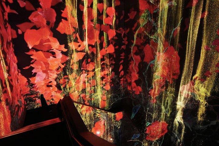 Tokyo TeamLab Planets Admission Ticket