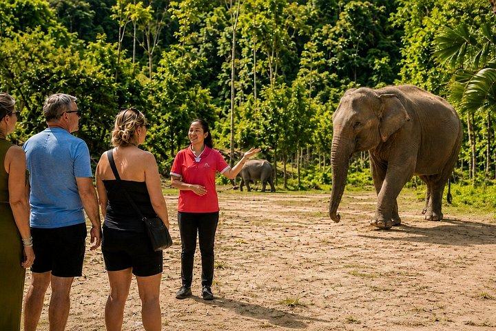 Phuket Ethical Elephant Sanctuary Small-Group Experience