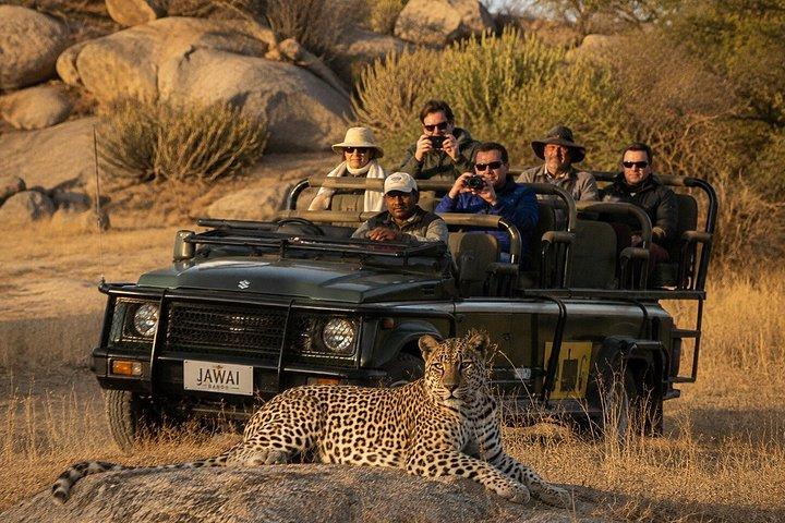 10 - デイ・インディア・ワイルドライフ・ツアー：ヒョウ、トラ、タージ・マハル