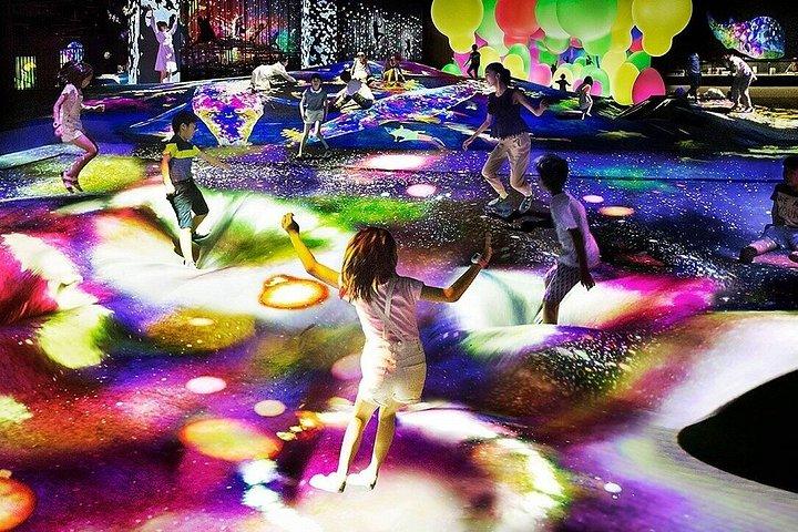 東京チームラボボーダレス入場券
