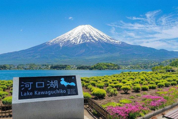 富士山と河口湖パノラマロープウェイ日帰り