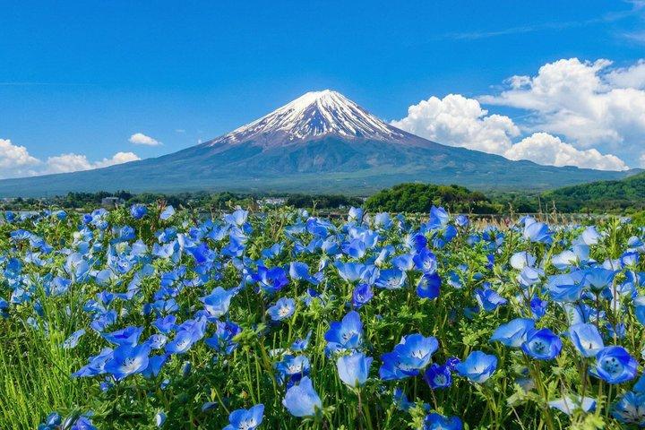 富士山と河口湖パノラマロープウェイ日帰り