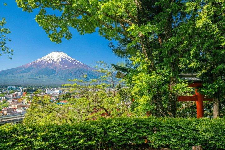 富士山と河口湖パノラマロープウェイ日帰り
