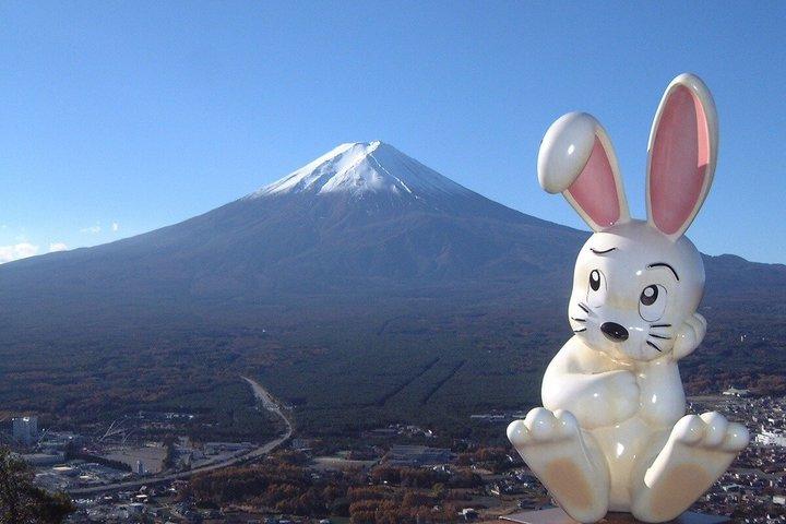 富士山と河口湖パノラマロープウェイ日帰り