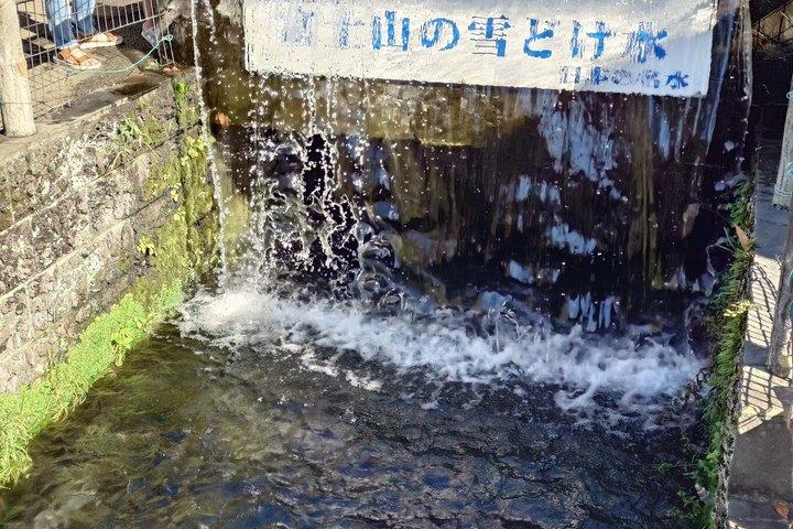 富士山と河口湖パノラマロープウェイ日帰り