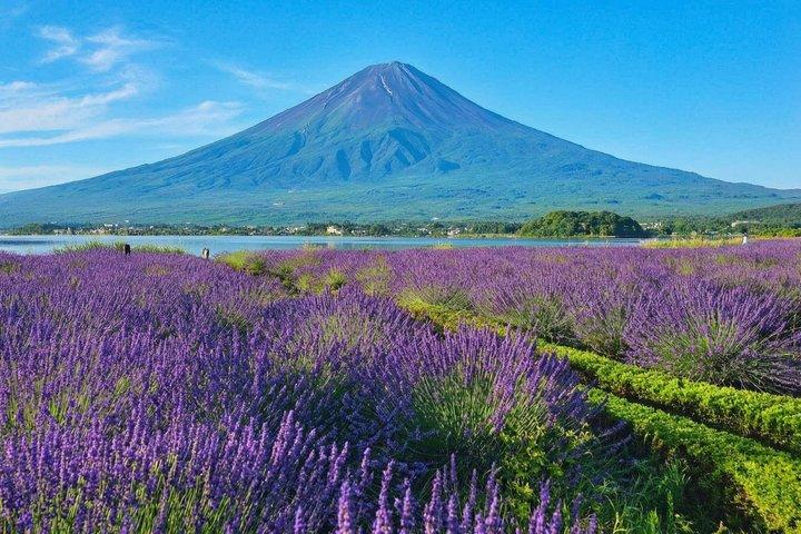 富士山と河口湖パノラマロープウェイ日帰り