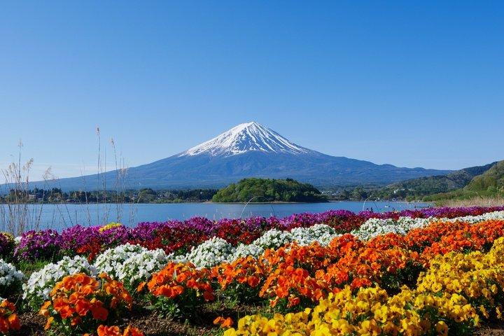 富士山と河口湖パノラマロープウェイ日帰り