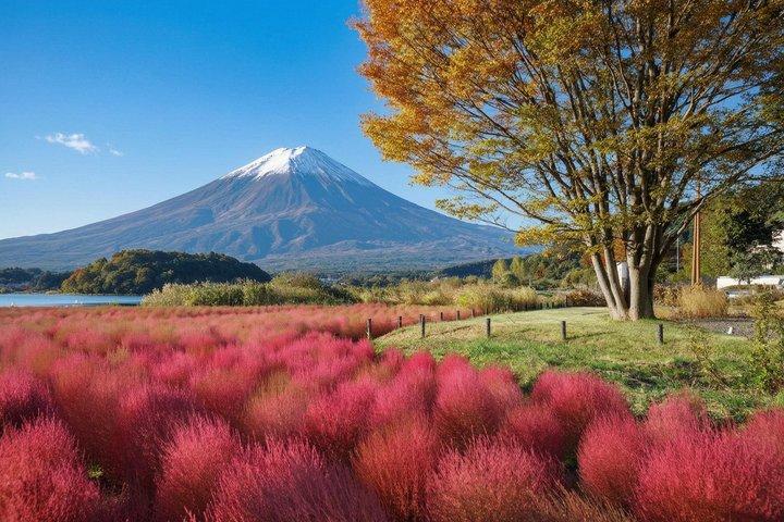 富士山と河口湖パノラマロープウェイ日帰り