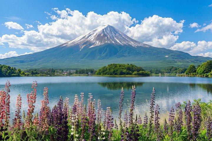 富士山と河口湖パノラマロープウェイ日帰り