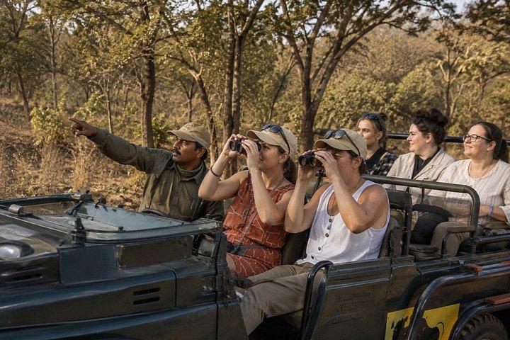 10 - デイ・インディア・ワイルドライフ・ツアー：ヒョウ、トラ、タージ・マハル