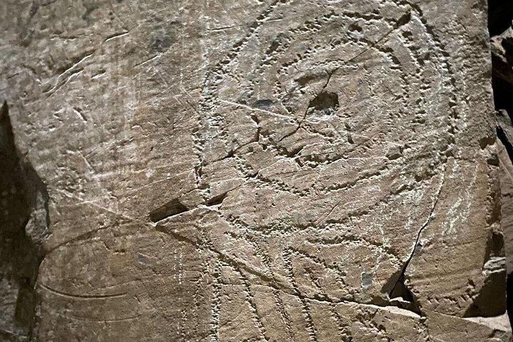 Boyne Valley Megalithic Monuments Private Day Tour from Dublin