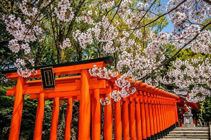 大阪または京都からの神戸プライベート日帰りツアー：北野と中華街