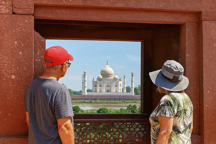 10 - デイ・インディア・ワイルドライフ・ツアー：ヒョウ、トラ、タージ・マハル