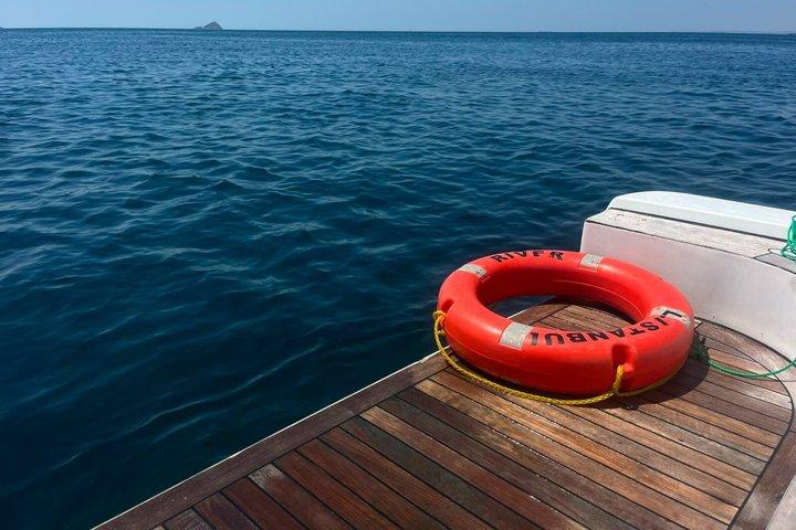 Istanbul Bosphorus Swimming Group Cruise