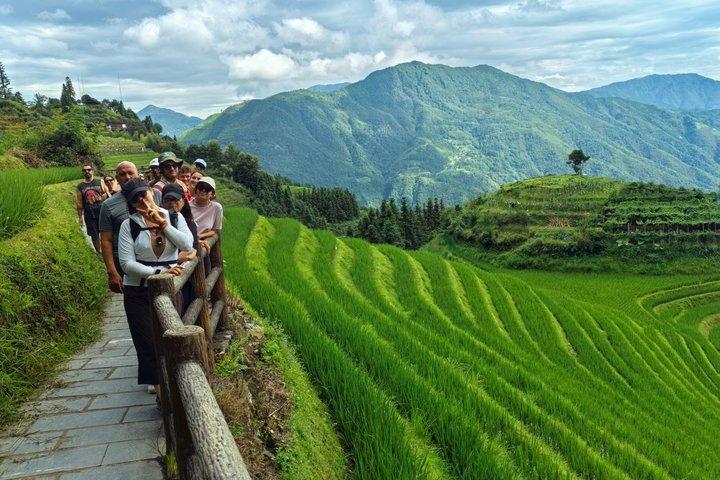 Longji Rice Terraces Group Tour Long Hair Village Guilin Pickup
