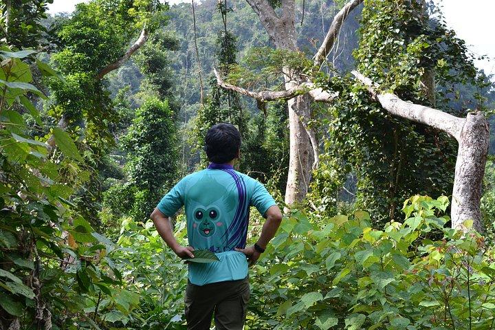 Cat Ba National Park Guided Trekking Adventure