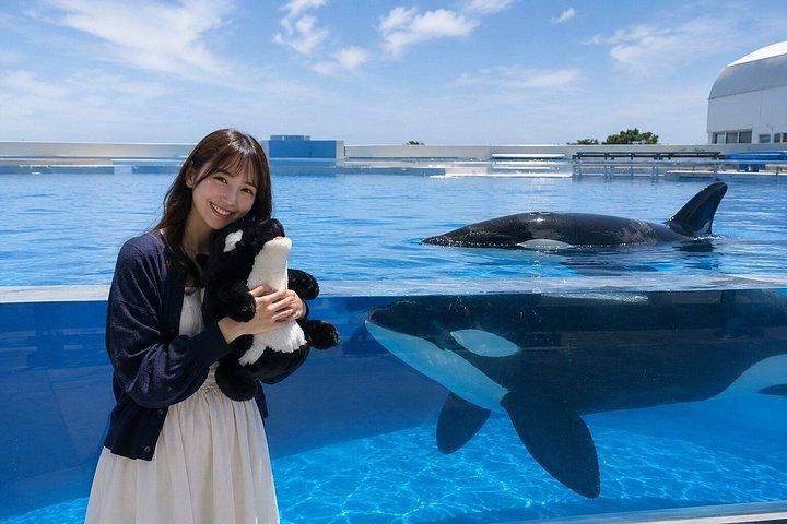 プライベートファミリー日帰り神戸アンパンマンミュージアムと須磨シーワールド観光