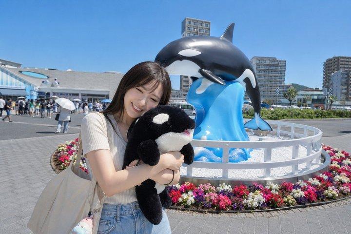 プライベートファミリー日帰り神戸アンパンマンミュージアムと須磨シーワールド観光
