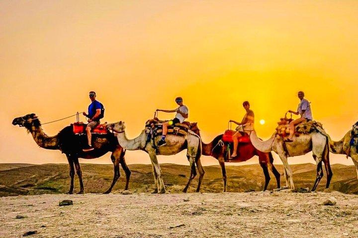 Agafay Desert Quad Bike, Camel Ride & Dinner Show from Marrakech
