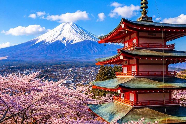 Mount Fuji Heldagstur Anpassa privat tur med Engelska Guide