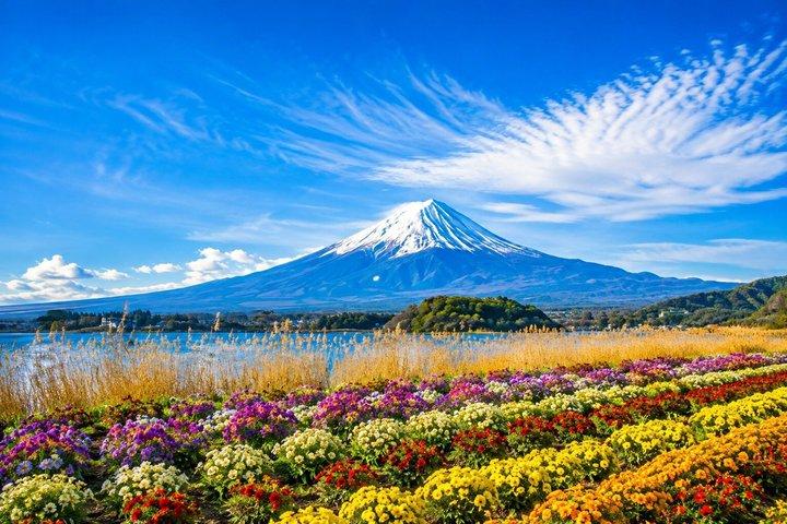 Mount Fuji Heldagstur Anpassa privat tur med Engelska Guide