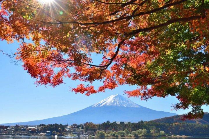 Mount Fuji Heldagstur Anpassa privat tur med Engelska Guide