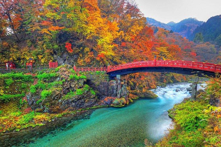 日光東照宮・華厳の滝・中禅寺湖内覧会