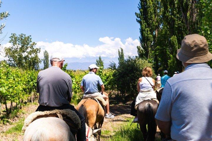 Ridning i Mendoza genom vingårdarna och floden med valfri Asado.