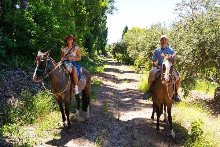 Cavalgada em Mendoza pelos vinhedos e rio com opcional Asado.