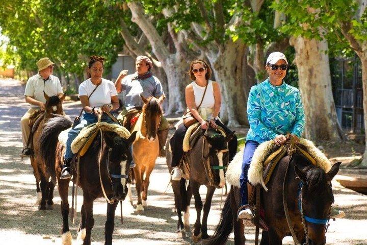Cavalgada em Mendoza pelos vinhedos e rio com opcional Asado.