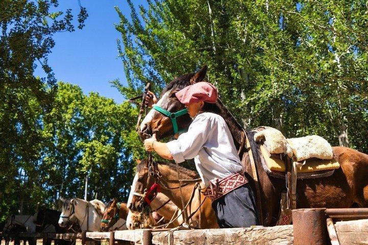 Cavalgada em Mendoza pelos vinhedos e rio com opcional Asado.