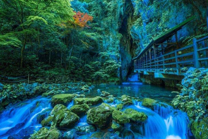 福岡秋吉洞&元乃隅神社1日ツアー